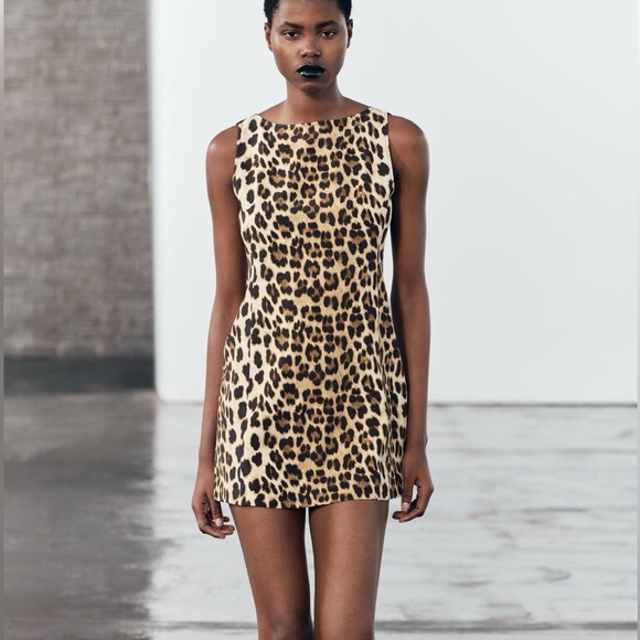 Zara cheetah dress - Picture 1 of 2